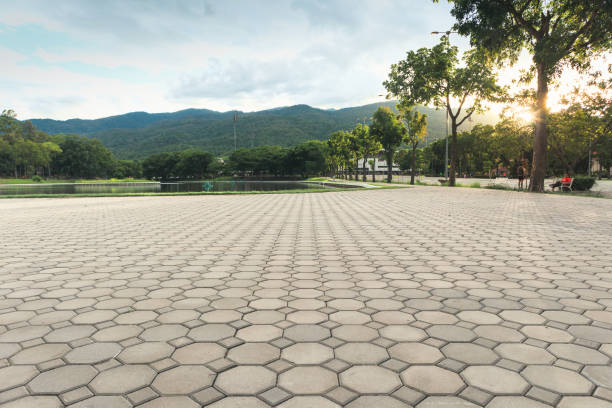 Best Professional Driveway Pavers  in Arthur, IL